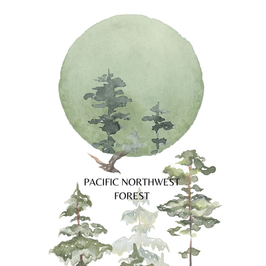 PACIFIC NORTHWEST FOREST CHOCOLATE